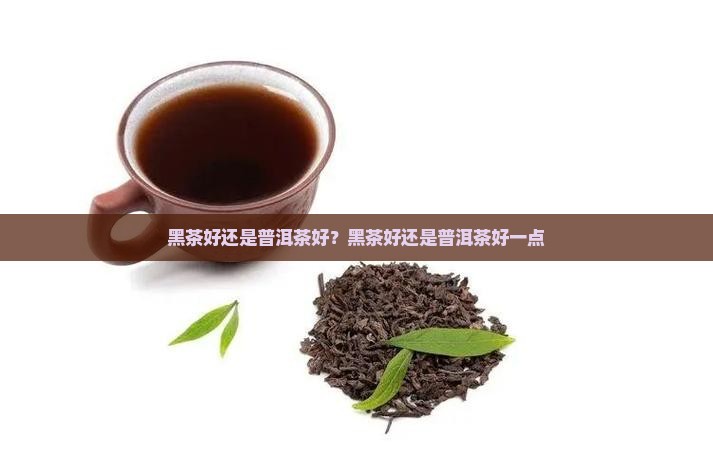 黑茶好还是普洱茶好