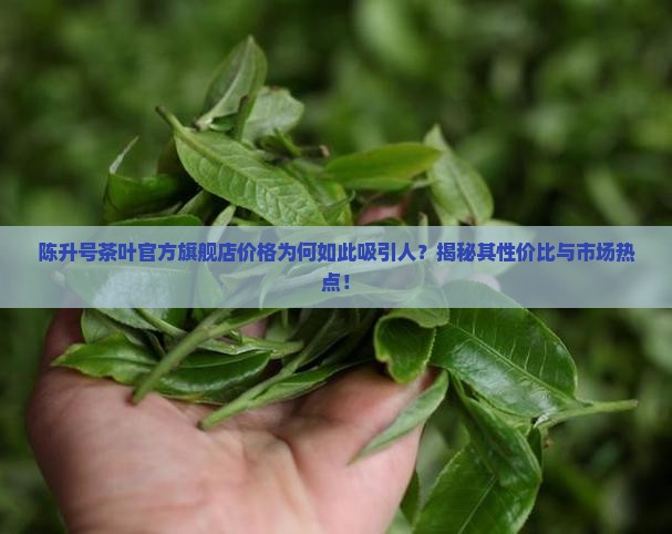 陈升号茶叶官方旗舰店价格