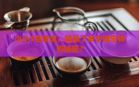 普洱茶1克含有多少菌
