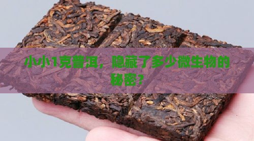 普洱茶1克含有多少菌