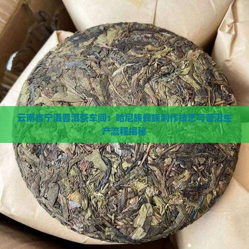 普洱茶车间工艺