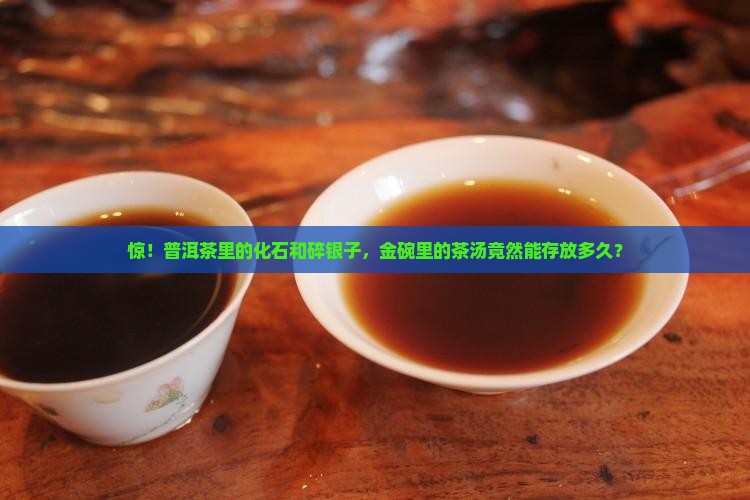 普洱茶化石和碎银子金碗茶保质期