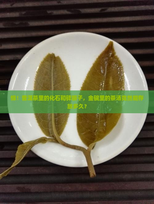 普洱茶化石和碎银子金碗茶保质期