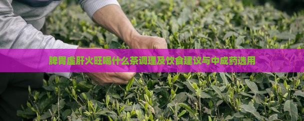 脾胃虚肝火旺喝什么茶 脾胃虚肝火旺喝什么茶