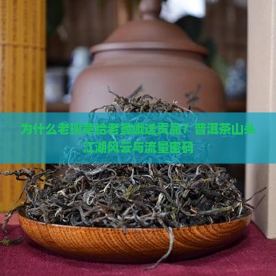 老班章给老曼峨送贡品