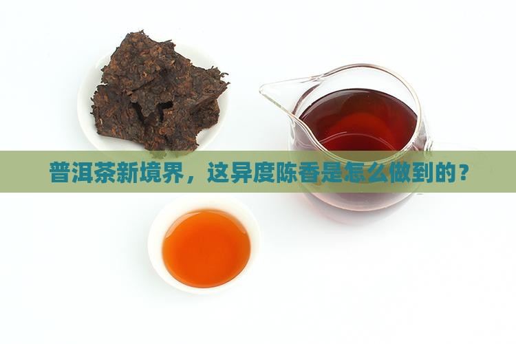 新境普洱茶异度陈香