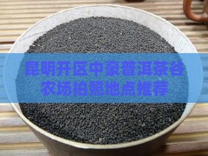 普洱茶谷农场拍照地点