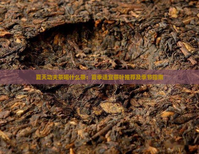 夏天功夫茶喝什么茶