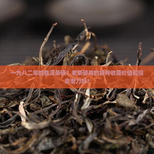 一九八二年的普洱茶砖