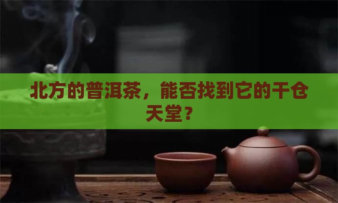 普洱茶在北方有干仓么