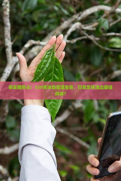 冰岛普洱生茶320克