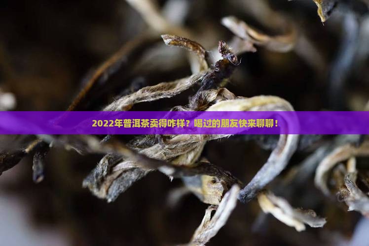 2022年普洱茶销量怎么样