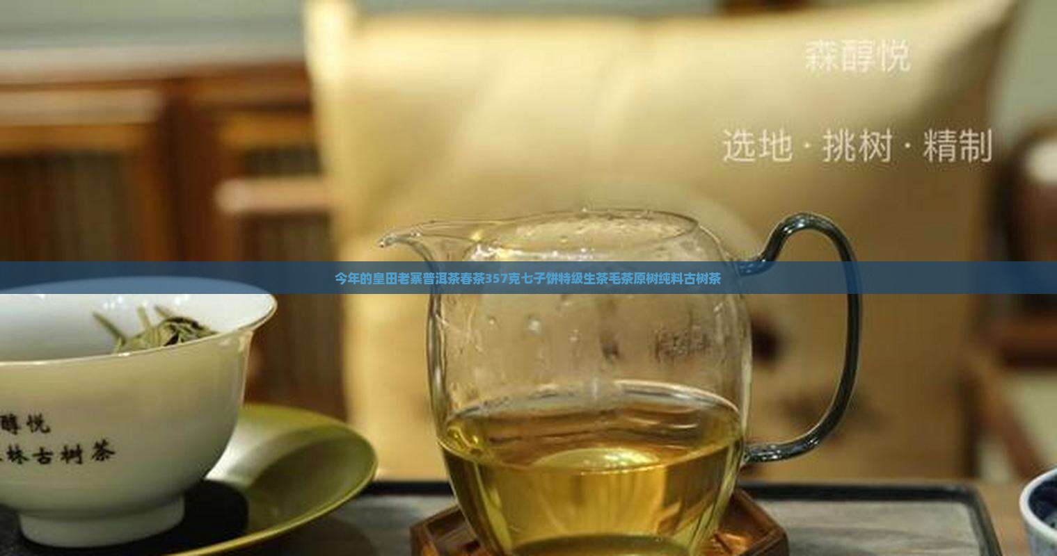 今年的皇田老寨普洱茶