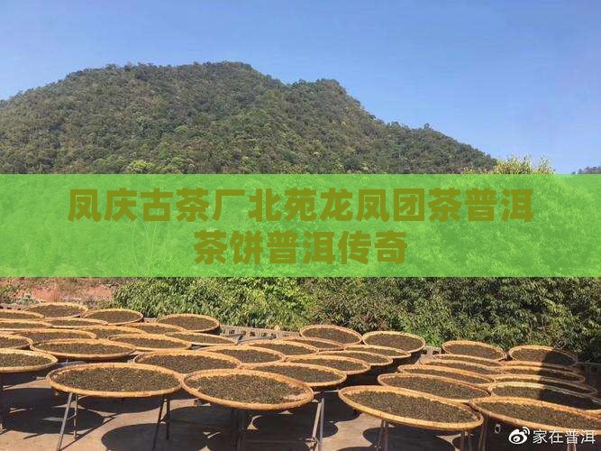 凤庆茶厂龙凤饼 凤庆茶厂龙凤饼
