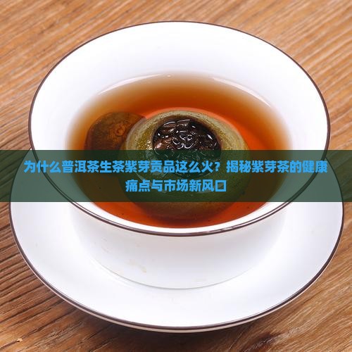 普洱茶生茶紫芽贡品