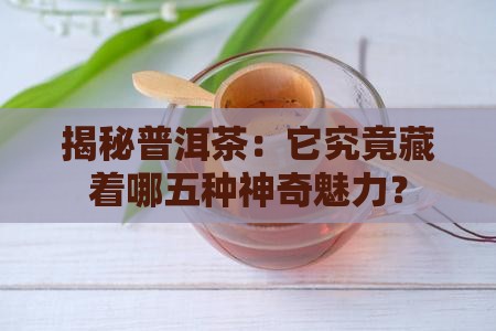 普洱茶的五大属性是