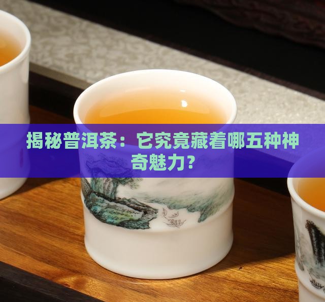 普洱茶的五大属性是