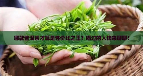 什么牌普洱茶性价比高