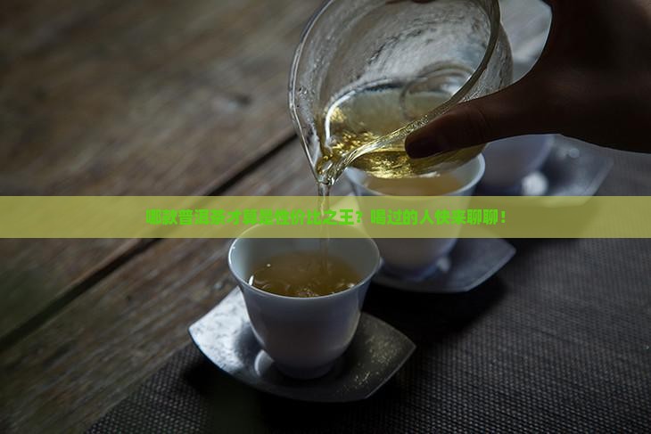 什么牌普洱茶性价比高