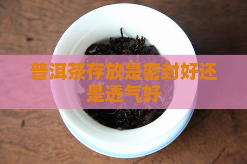 存普洱茶要透气吗