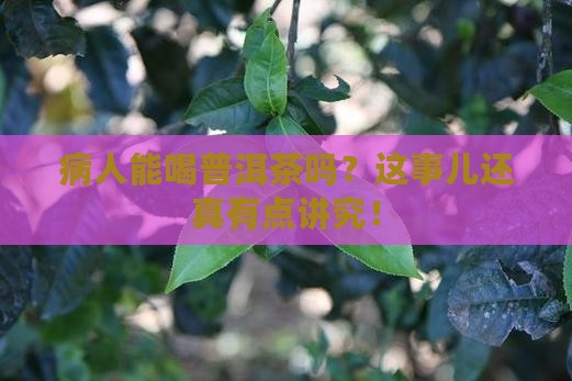 病人喝普洱茶吗