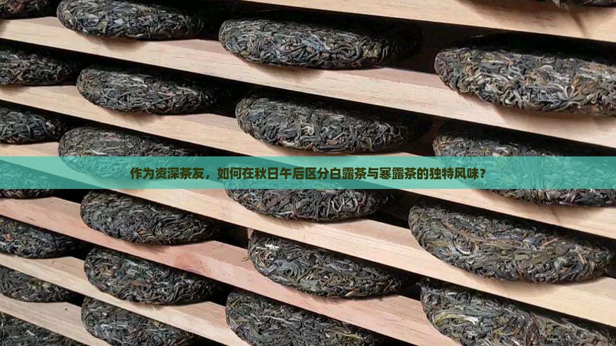 白露茶和寒露茶的区别