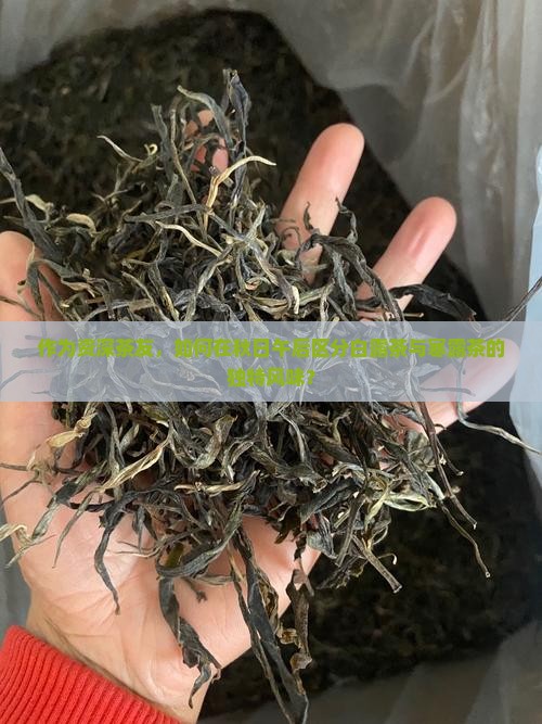 白露茶和寒露茶的区别