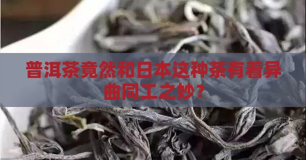 普洱茶和日本什么茶相似