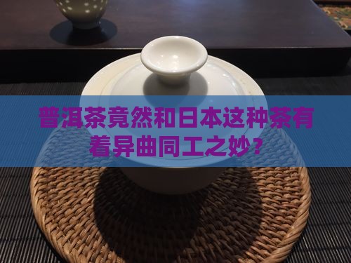 普洱茶和日本什么茶相似