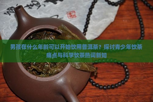 男孩多大可以喝普洱茶