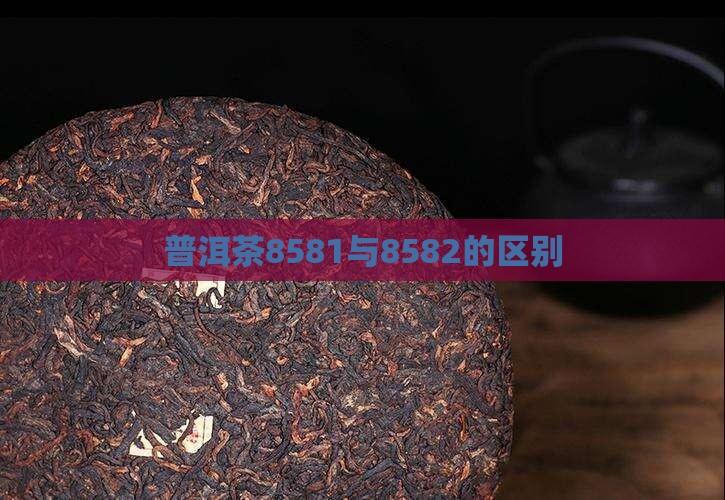 普洱茶8581与8582的