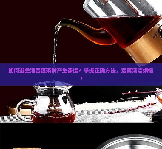 普洱茶怎么泡没茶垢