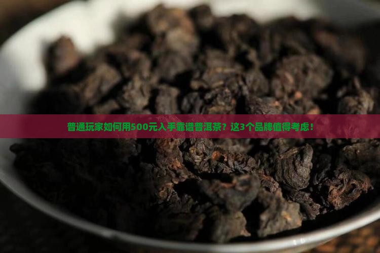 适合囤货购买藏的普洱茶品牌