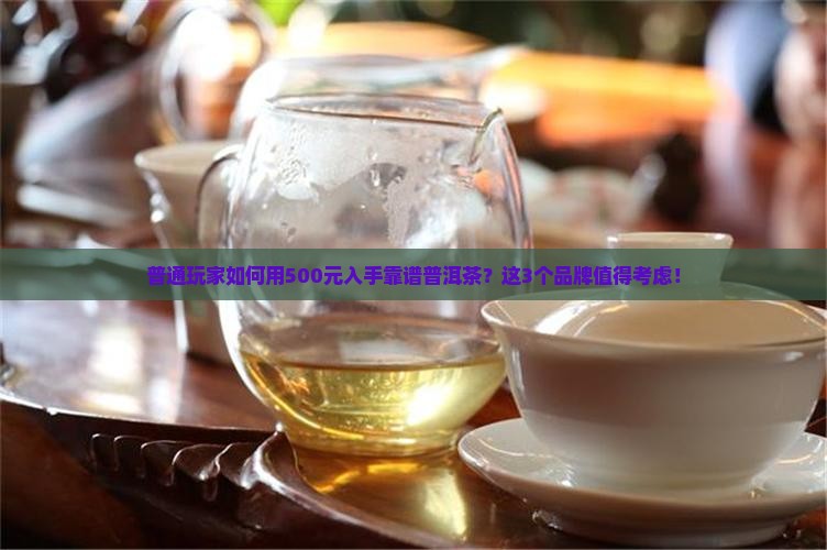 适合囤货购买藏的普洱茶品牌