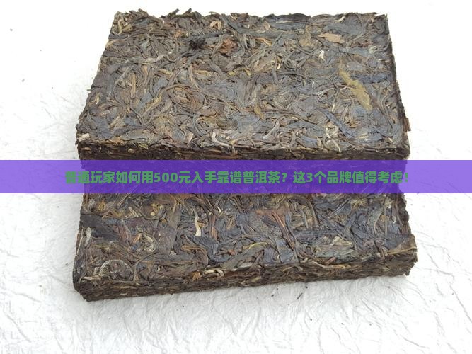 适合囤货购买藏的普洱茶品牌