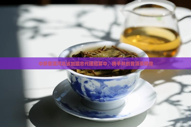 中茶普洱茶河北省总代理