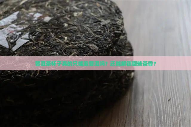 普洱茶杯子能泡什么茶喝