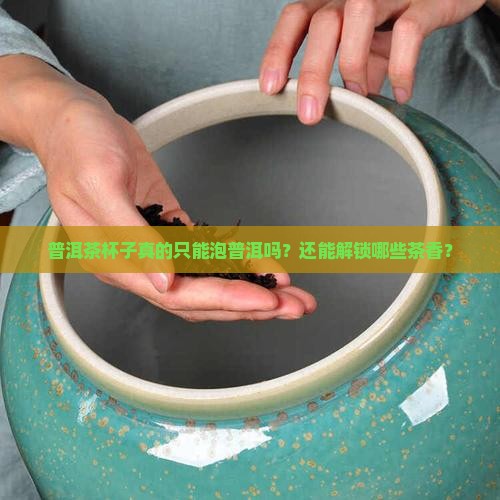 普洱茶杯子能泡什么茶喝