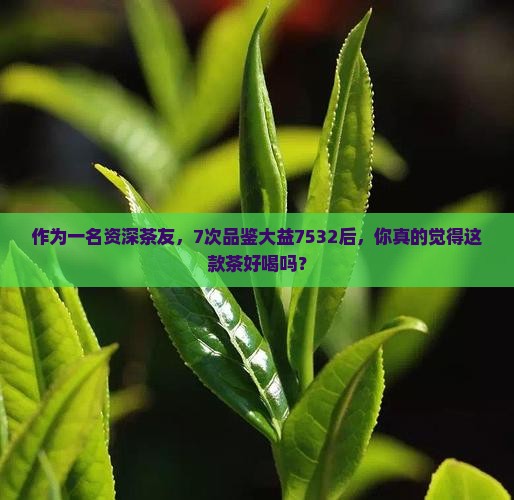 大益茶7532好喝吗