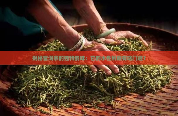 普洱茶的水性分析
