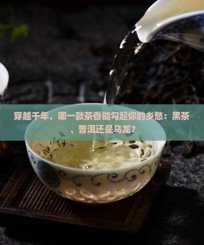 黑茶普洱茶乌龙茶