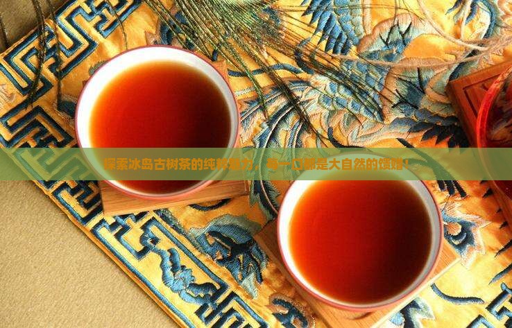 常喝冰岛纯料古树茶