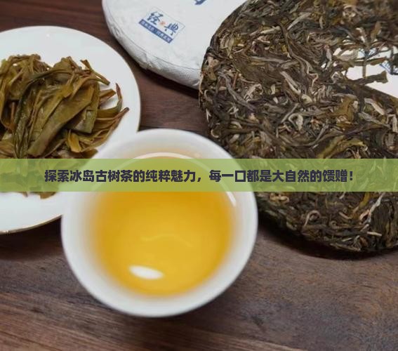 常喝冰岛纯料古树茶