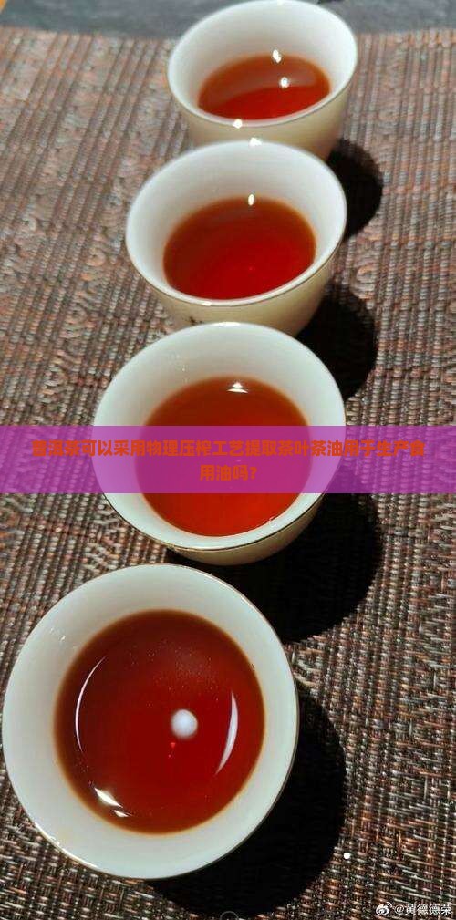 普洱茶可以提取油吗
