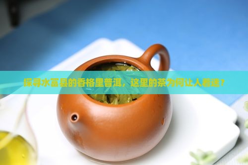 香格里普洱茶水富县