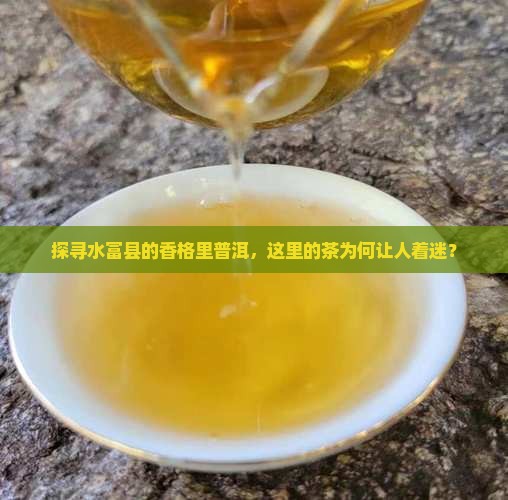香格里普洱茶水富县