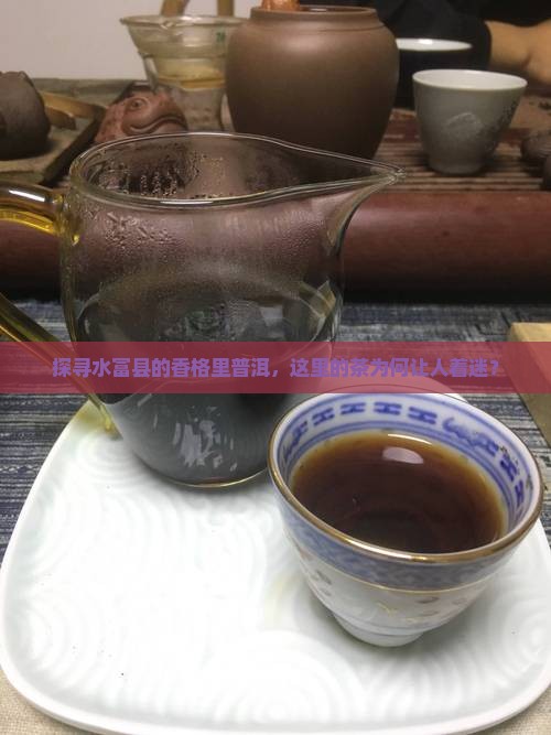 香格里普洱茶水富县