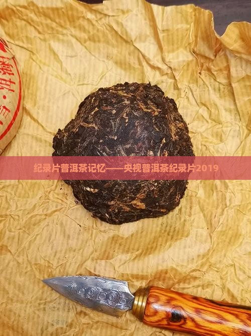 纪录片普洱茶记忆
