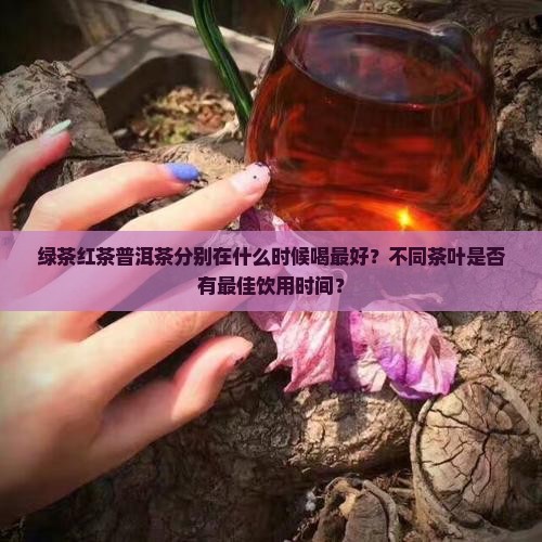 绿茶红茶普洱茶喝的时间
