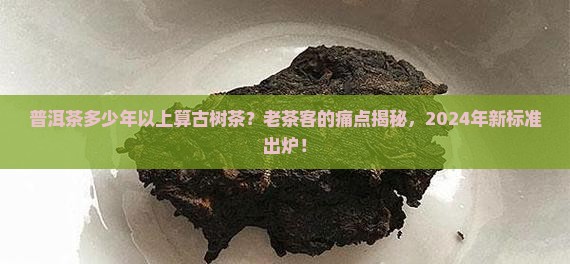 普洱茶多少年以上算古树茶